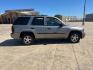 2005 GRAY /gray Chevrolet TrailBlazer LS 2WD (1GNDS13S052) with an 4.2L L6 DOHC 24V engine, 4-Speed Automatic Overdrive transmission, located at 14700 Tomball Parkway 249, Houston, TX, 77086, (281) 444-2200, 29.928619, -95.504074 - Photo#7